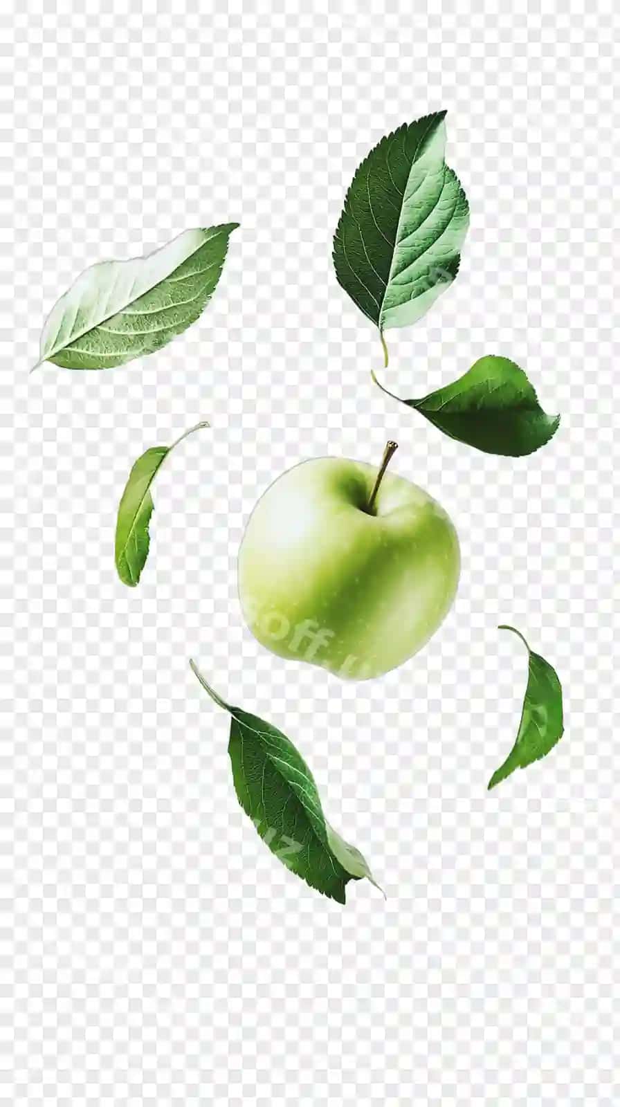 Yashil olma haqiqiy meva | Green apple realistic fruit