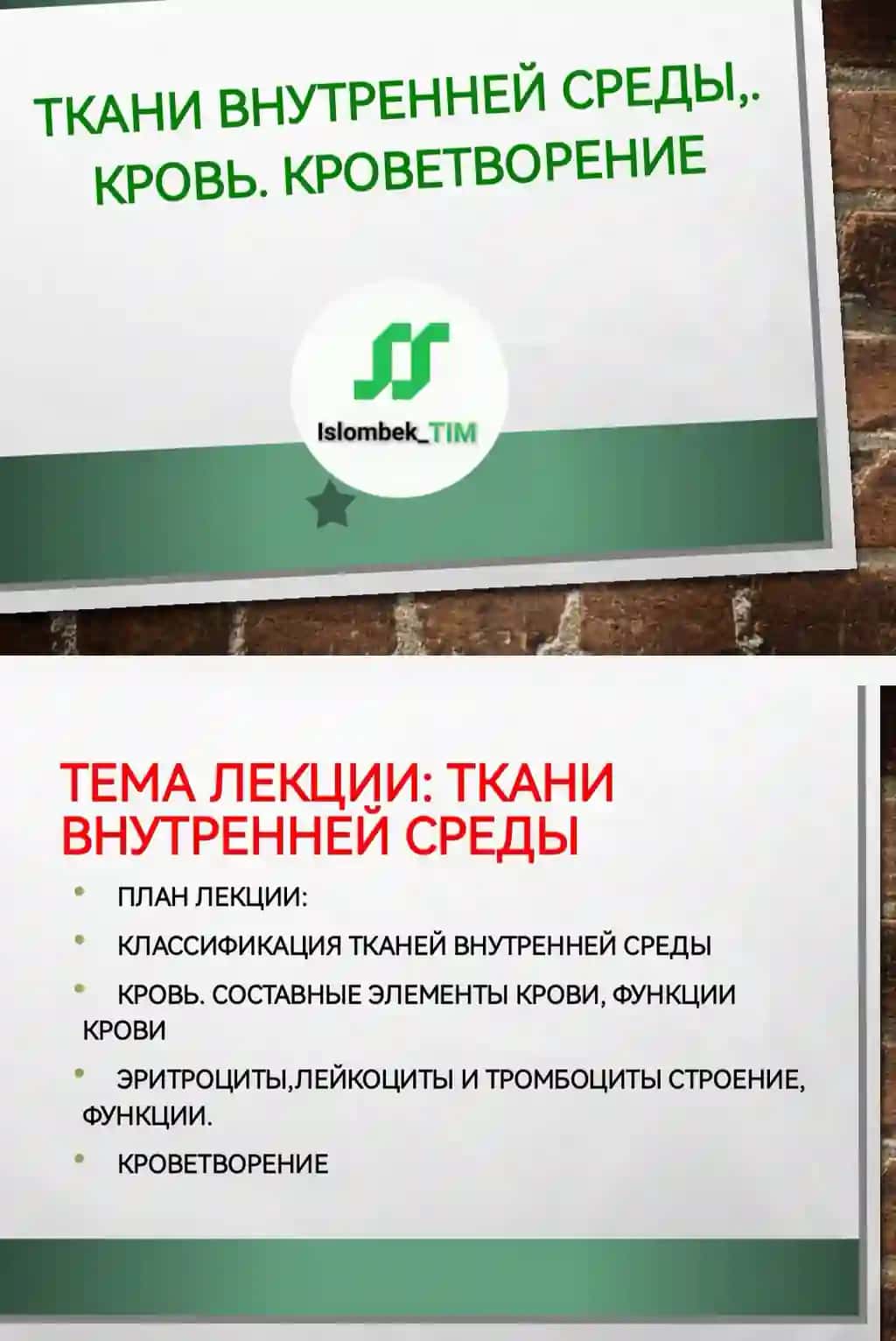Ткани внутренней среды,. Кровь. Кроветворение