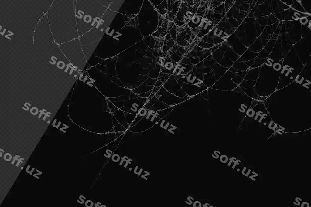 Fotorealistik chimyon tarmogi | Photorealistic cobweb 2