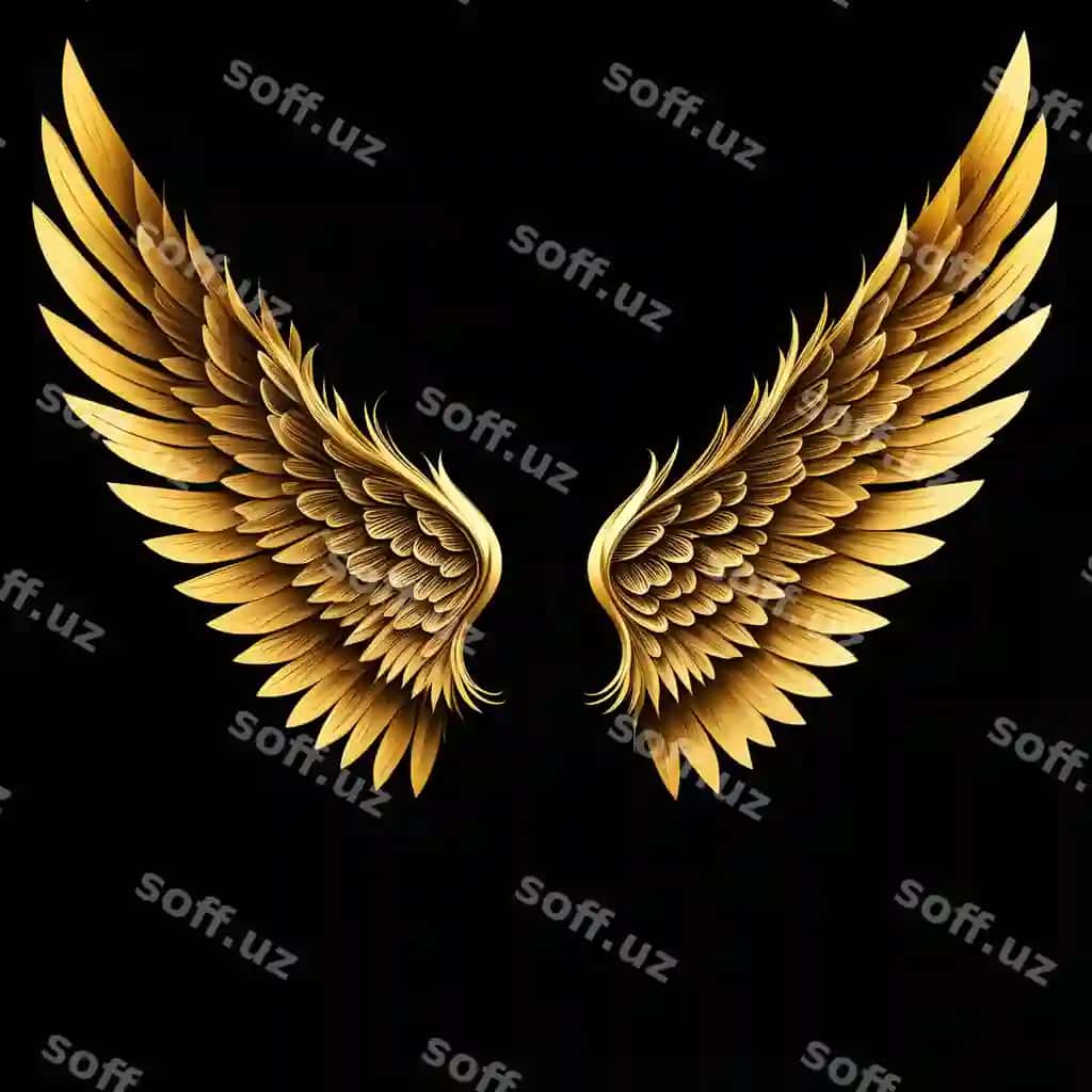 Oltin qanotlar qora fonda | Gold wings black background