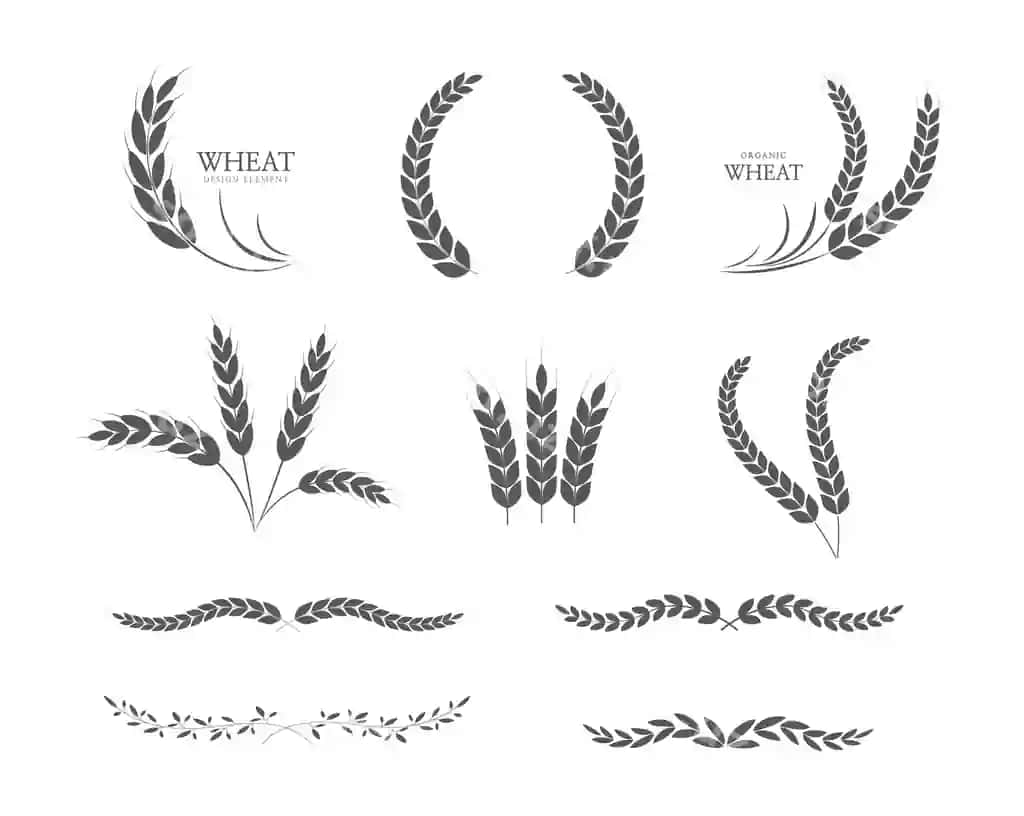 Buğum quloqlari guruch ikon padi buğum laurel gurug'usi ikon vektor illustratsiyasi | Wheat ears rice icon paddy wheat laurel wreath icon vector illustration