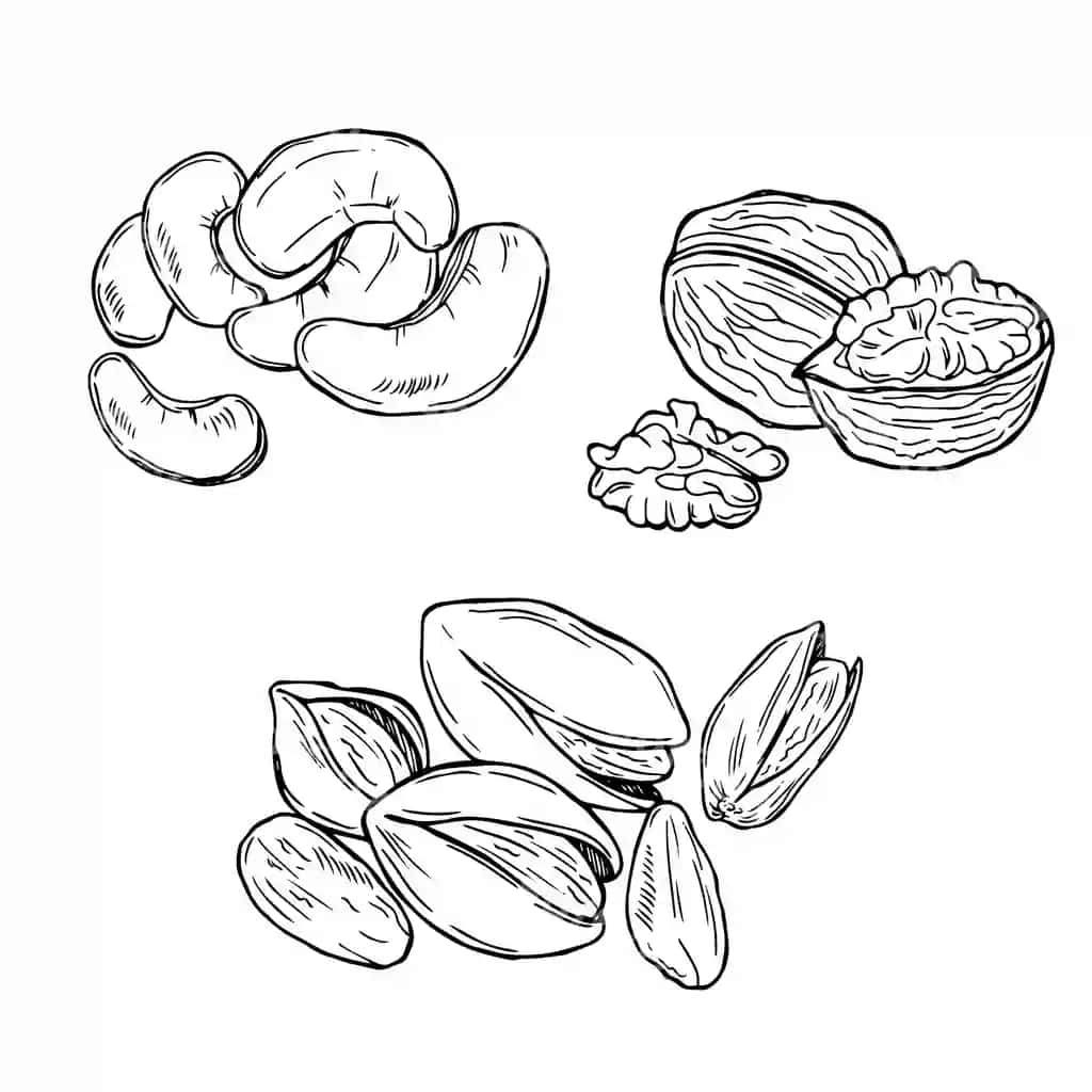 Yer panatlari to'plami ajraltirilgan oq fonda kashew uzi pistachio | Nuts collection isolated white background cashew walnut pistachio 2