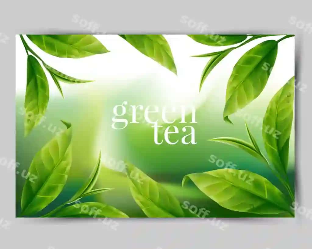 Haqiqiy yashil choy yaproqlari orqa fon | Realistic green tea leaves background