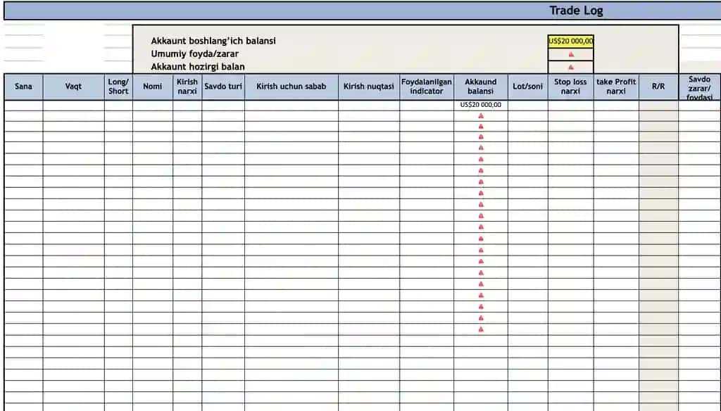 Professional Trading Journal