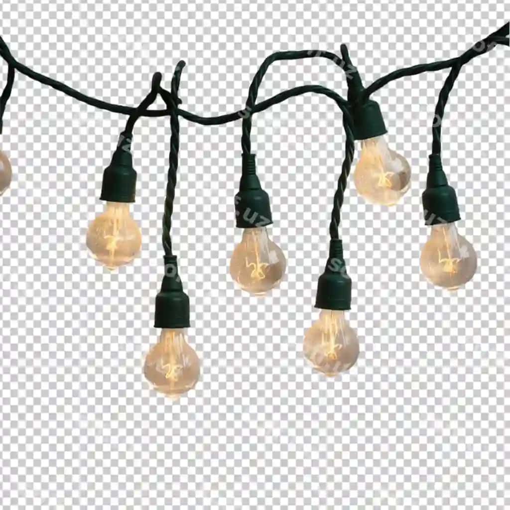 Yashil ip bilan shaffof bulbli ip chiroqlar oq fonda | String christmas lights with green wire clear bulbs isolated white