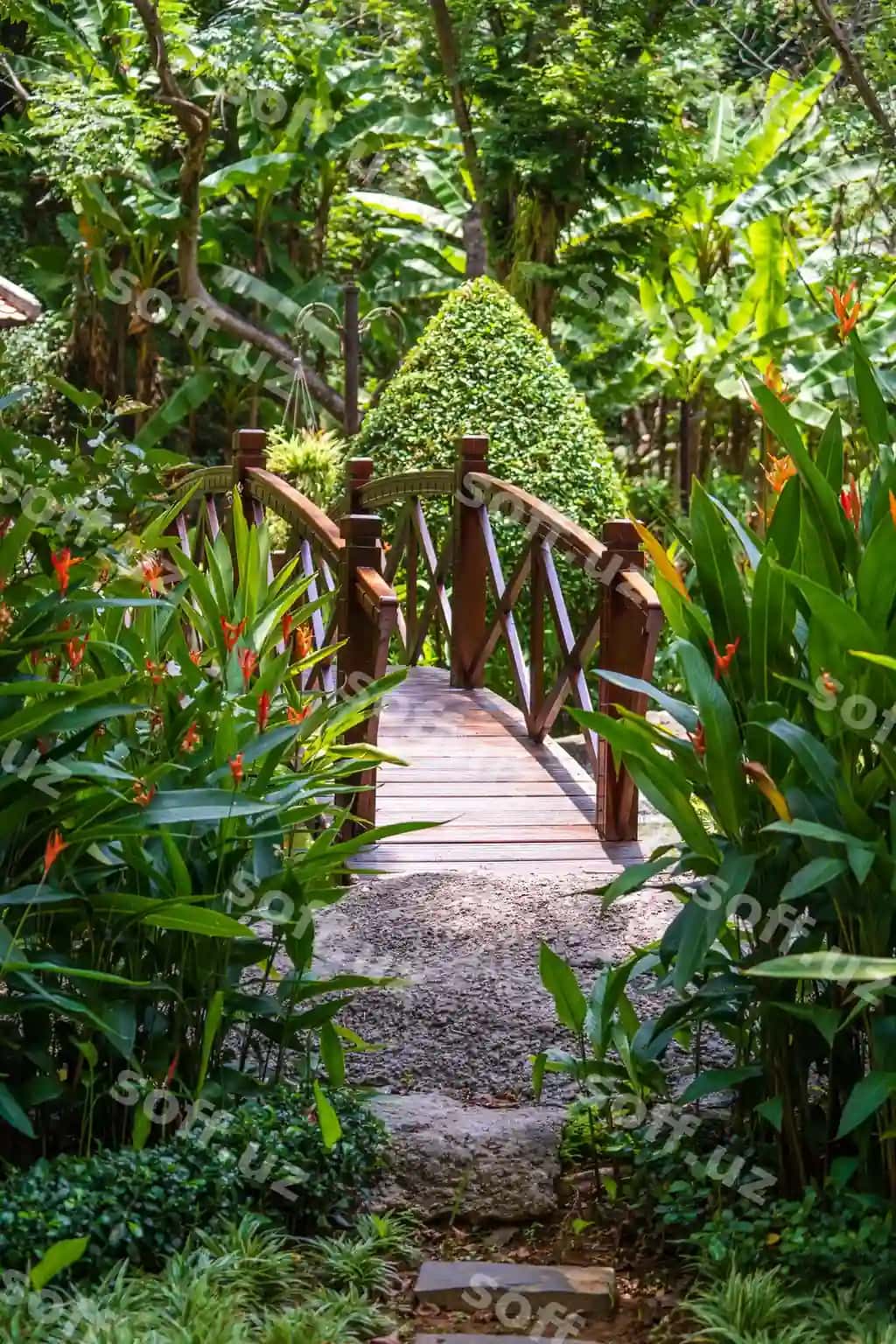 Archa ko'prig bezatilgan hovuz o'tgan Yapon tropik bog' Danang Vietnam sayohat tabiat konsepsiyasi | Arched bridge through decorative pond japanese tropical garden danang vietnam travel nature concept