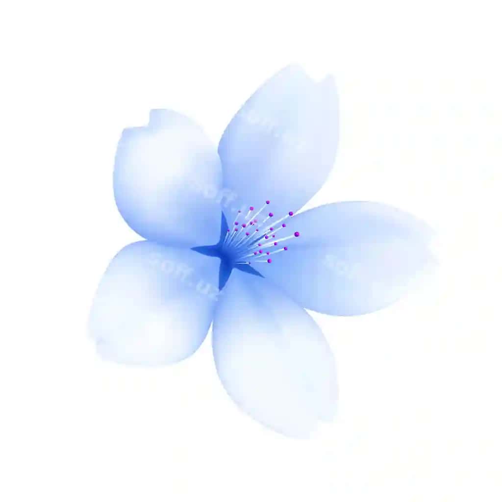Vektor realistik sakura oq fonda | Vector realistic cherry blossom white background