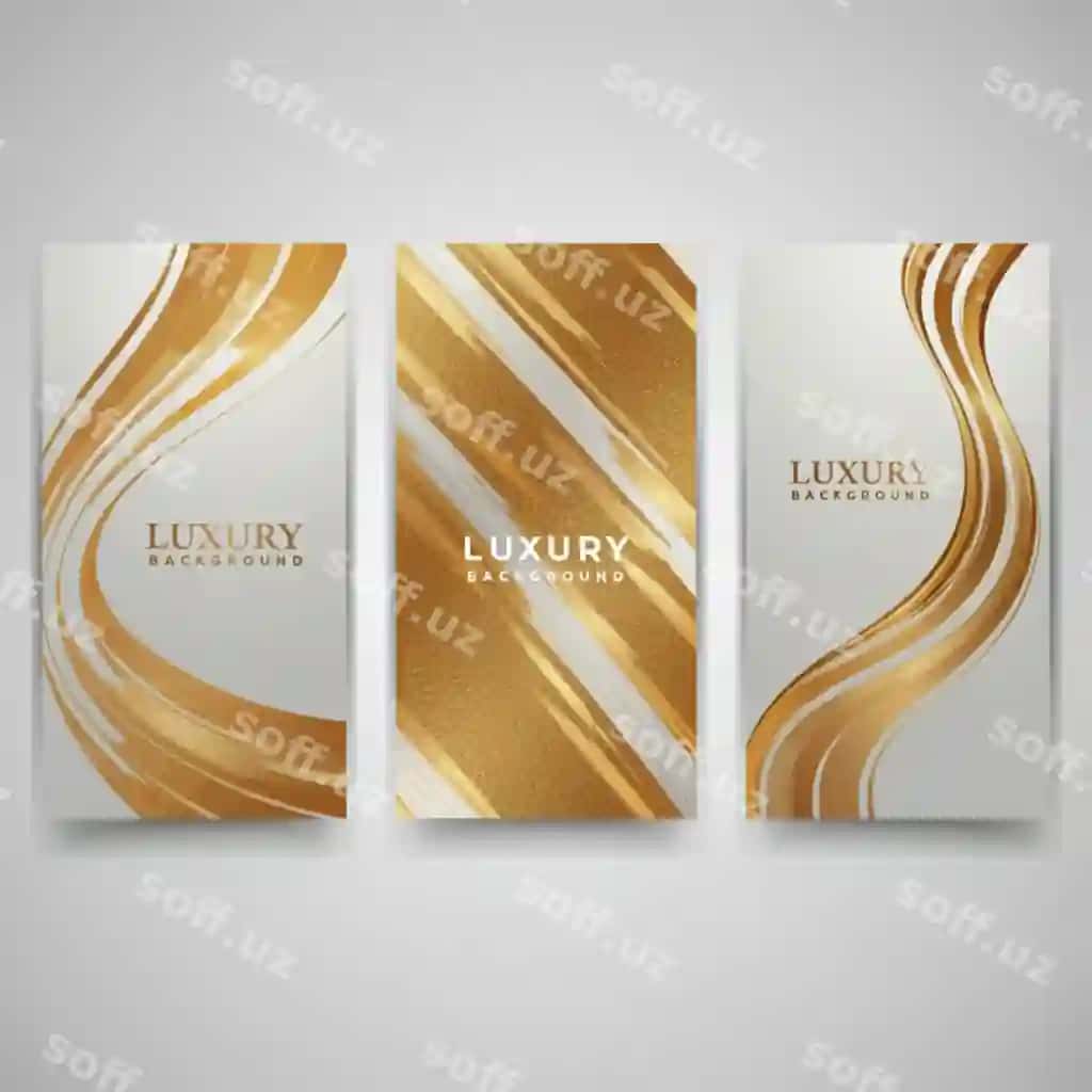 O'rnat uchta broshyur oltin-kumrush chiziqlari bilan | Set three pamphlets with gold silver stripes 2