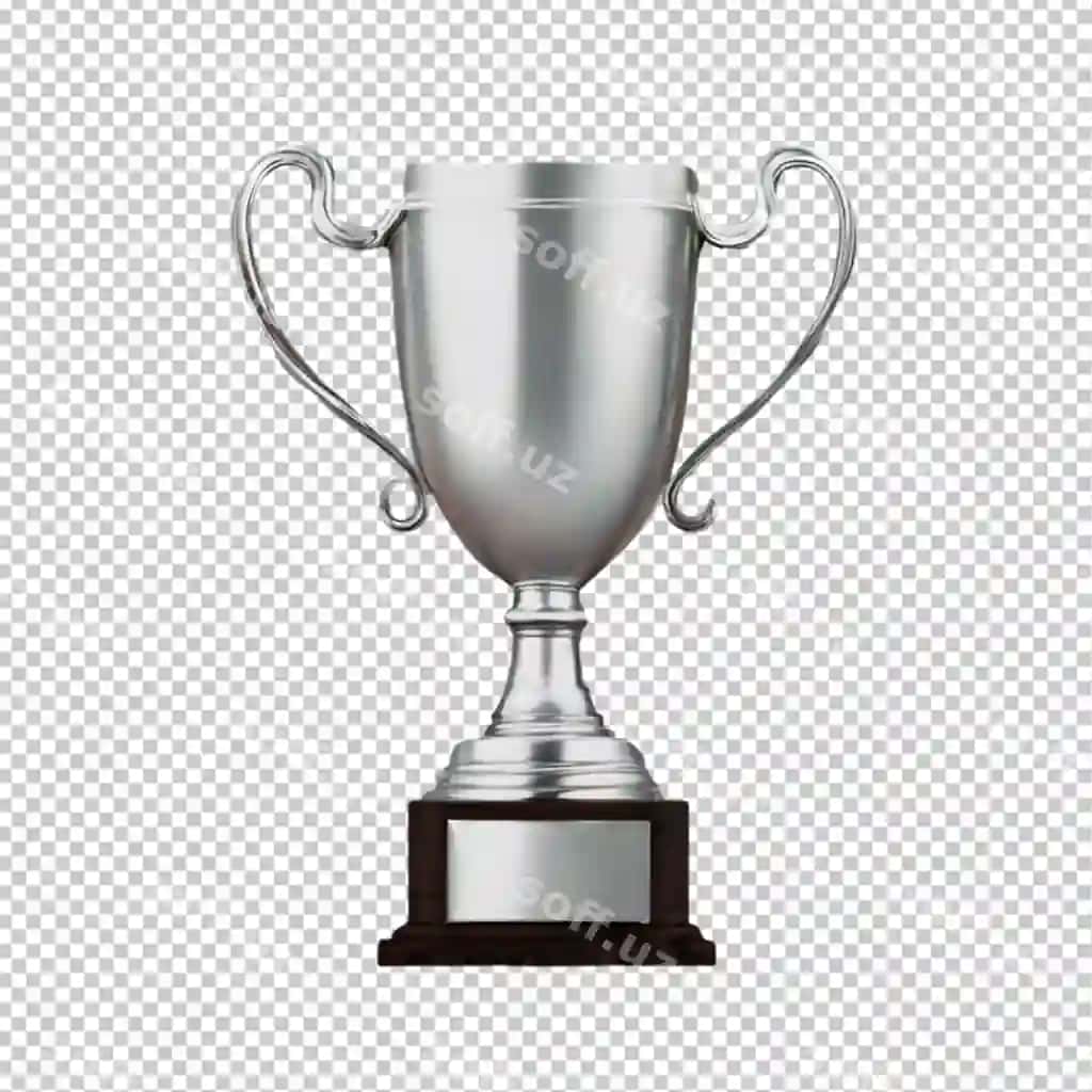 3d kumtir sohibi ajraltirilgan shaffof fonda | 3d silver trophy isolated transparent background