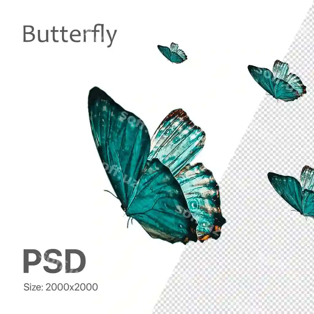 Psd papilona dizayn elementi bahor dizayni | Psd butterfly design element spring design