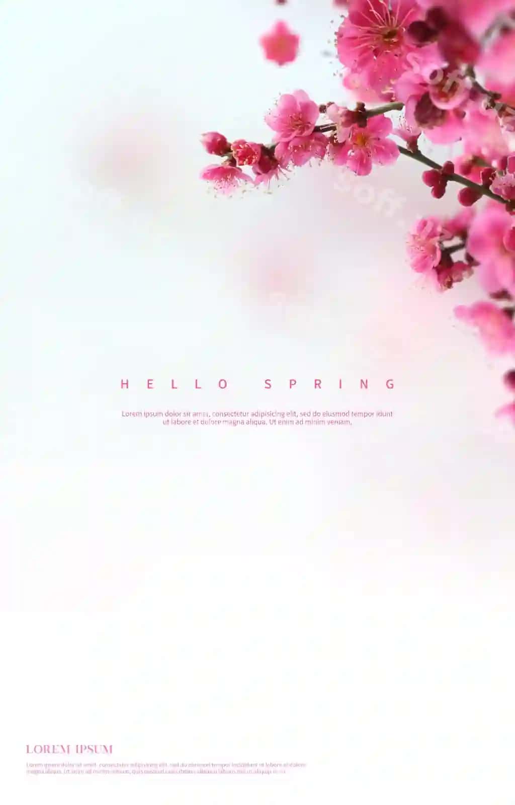 Go'zal bahor gullari foni | Beautiful spring flowers background 2