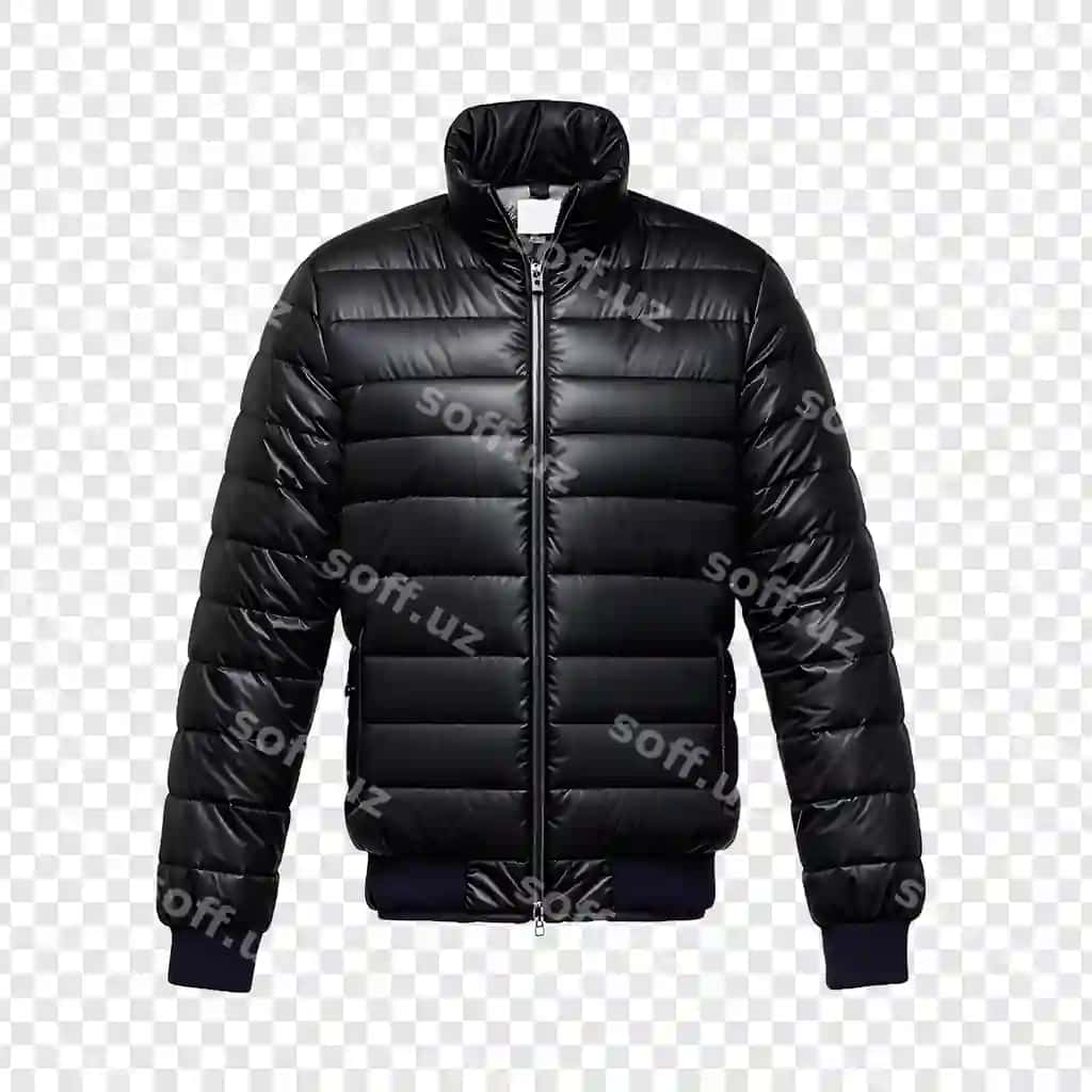 Pufakli jaket ajraltirilgan shaffof orqa fon | Puffer jacket isolated transparent background