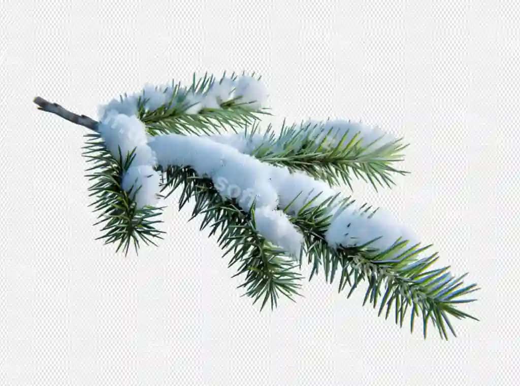 Yuldu bezatmasi shaffof orqa fon | Christmas decoration transparent background