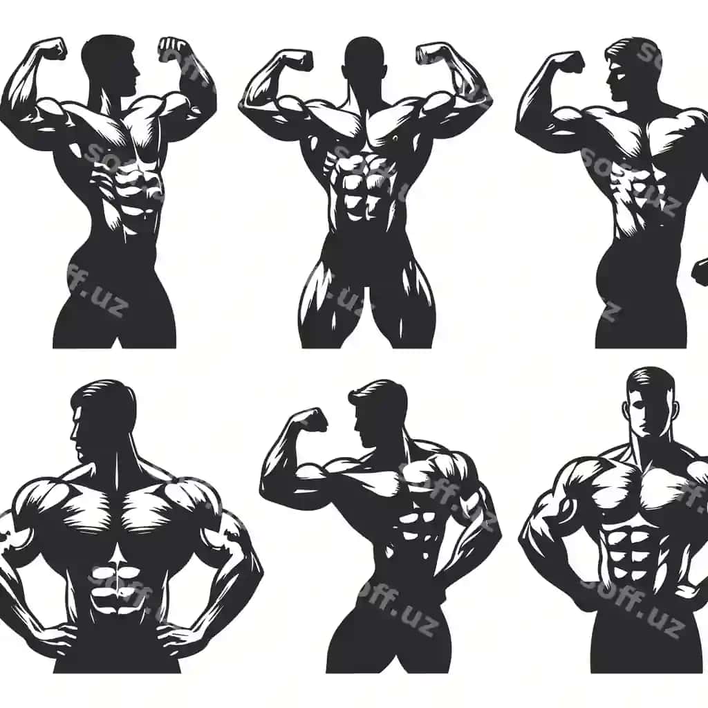 Siluetta jism-kurashuvchi atlet jism-kurashish pozitsiyasi vektor | Silhouette bodybuilder athlete bodybuilding pose vector