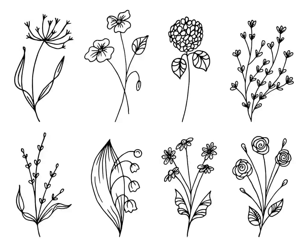 Oq fonda botanika chizmalarini qo'lda chizilgan yovvoyi gullarning konturini o'rnating | Set botanical doodles hand drawn outline wildflowers white background