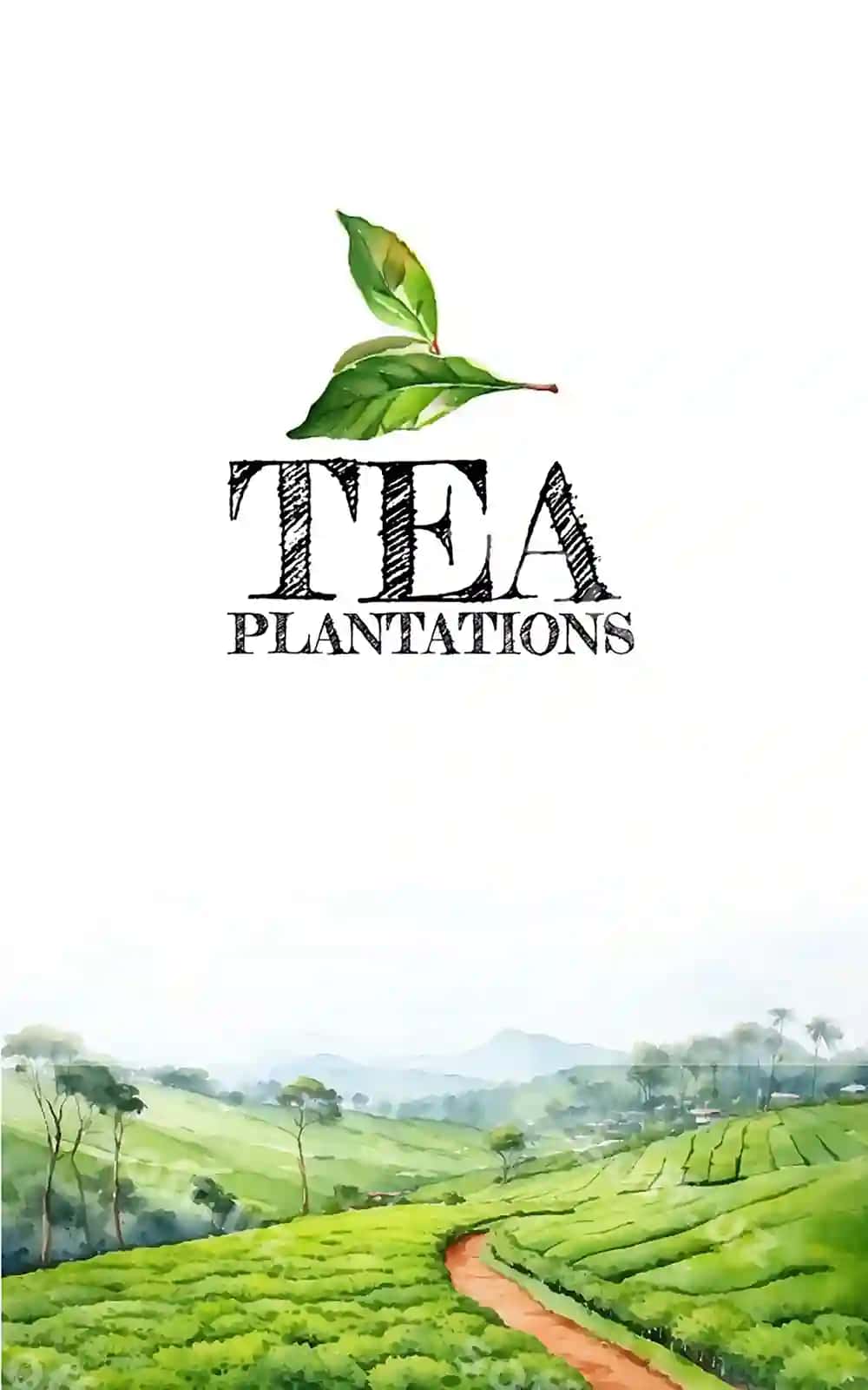 Choy ekimi akvarama choy hovli | Tea plantation watercolor tea estate