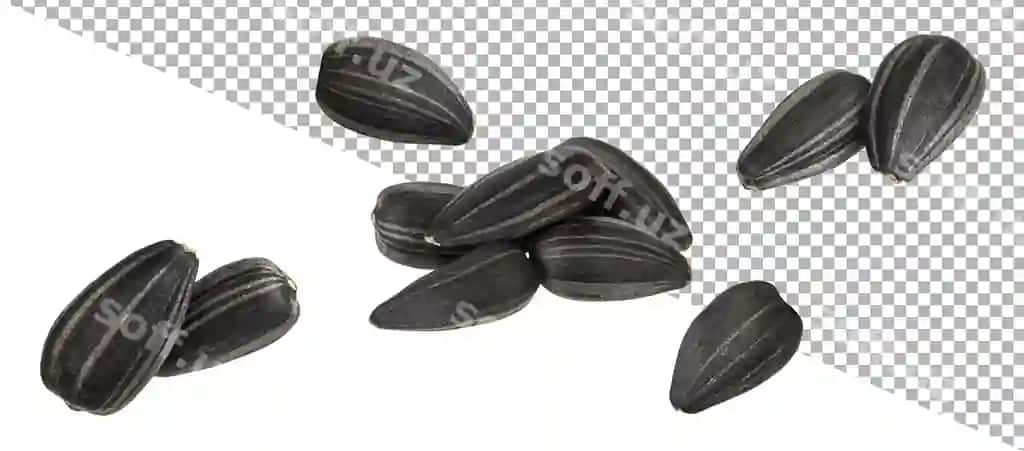 Tushmoqda qora qovoq urug'lari ajraltirilgan oq fond | Falling black sunflower seeds isolated white background