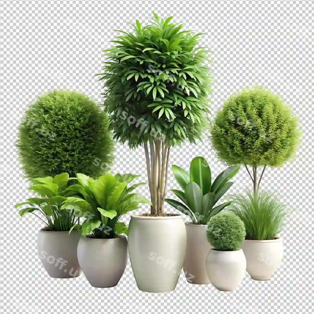 3d rendering yashil o'simliklar raqam 7 | 3d rendering green plants number 7 2