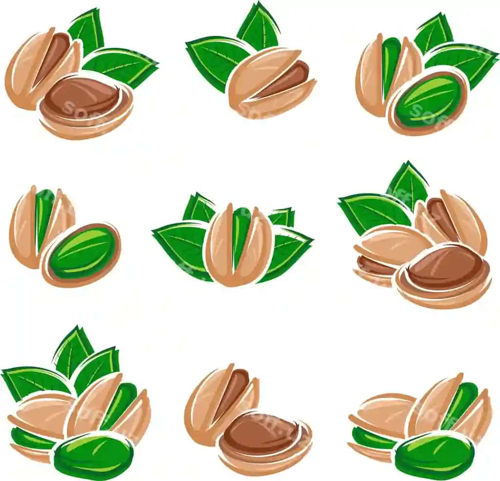 Pistachiy vektor komplekti | Pistachio nuts set vector 2