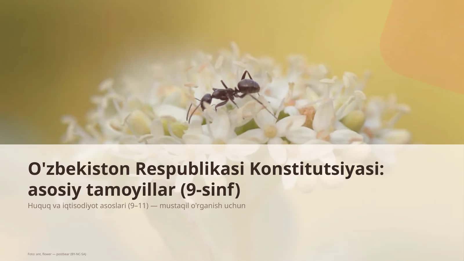 O'zbekiston Respublikasi Konstitutsiyasi: asosiy tamoyillar (9-sinf)