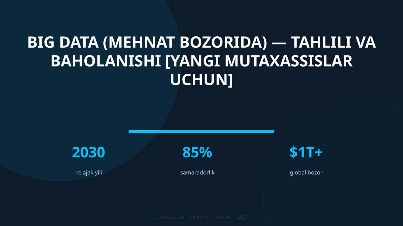 BIG DATA (MEHNAT BOZORIDA) — TAHLILI VA BAHOLANISHI [YANGI MUTAXASSISLAR UCHUN]