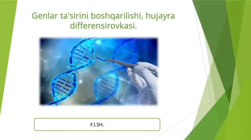 Genlar ta'sirini boshqarilishi, hujayra differensirovkasi.