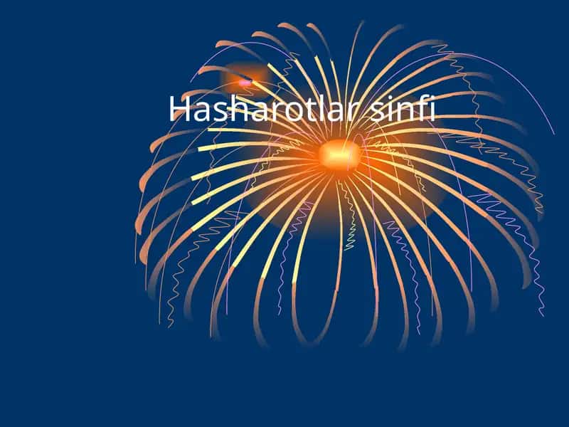 Hashorotlarning ko'payishi va rivojlanishi