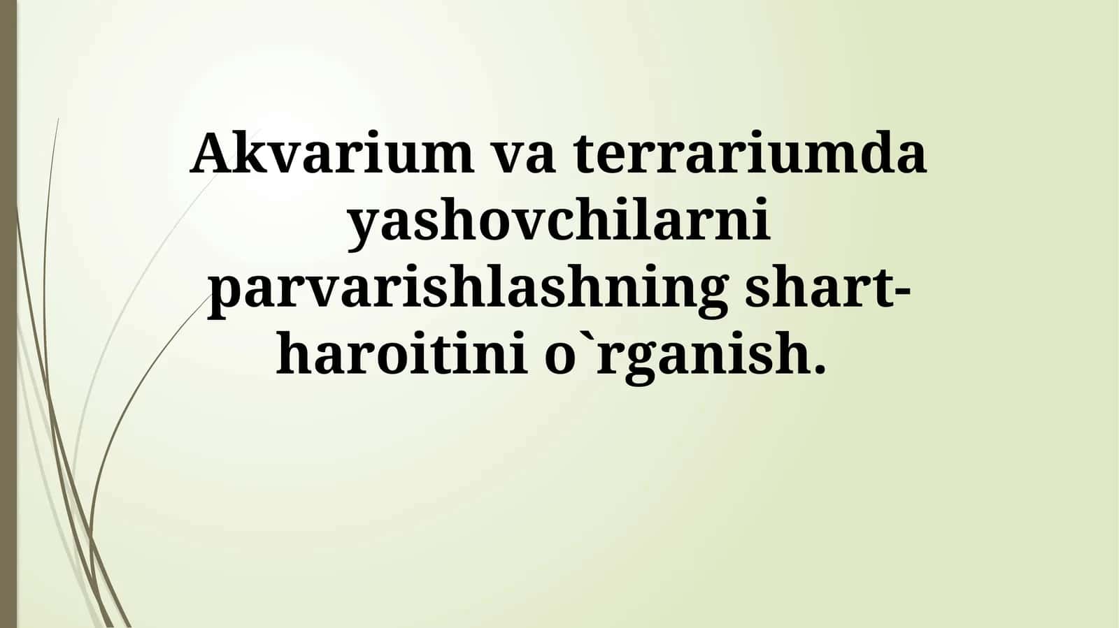 Akvarium va Terrarium Hayvonlarini Parvarish Shartlarini O'rganish