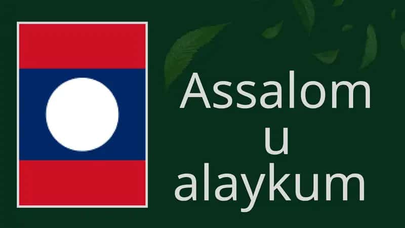 Laos Davlati Iqtisodiyoti