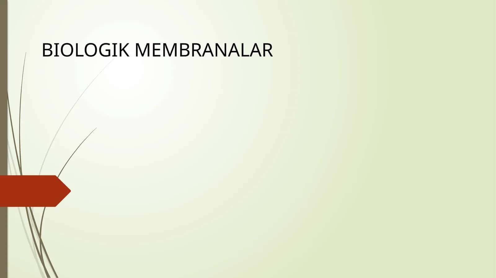 BIOLOGIK MEMBRANALAR