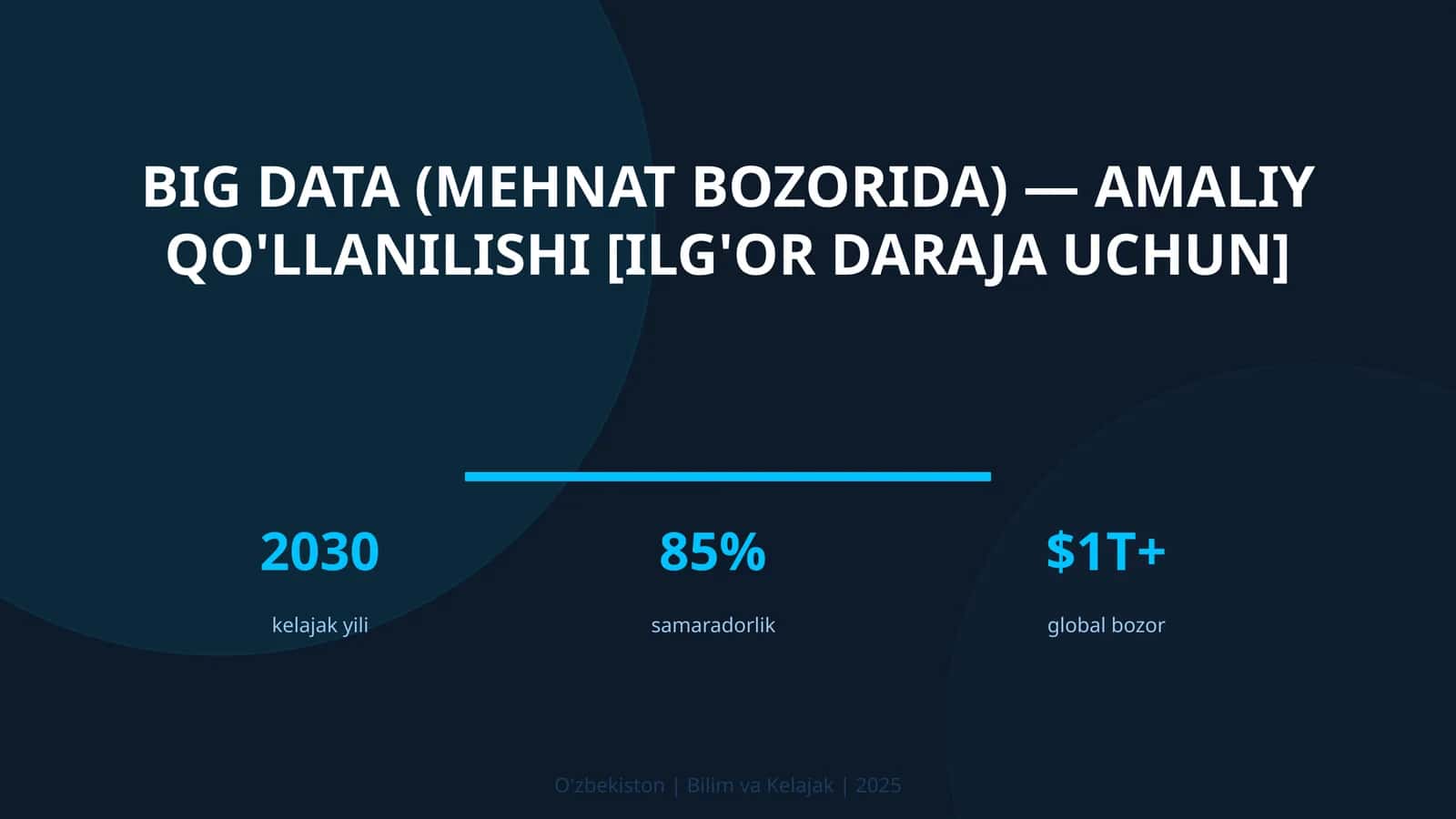 Big Data (MEHNAT BOZORIDA) — AMALIY QO'LLANILISHI [ILG'OR DARAJA UCHUN]