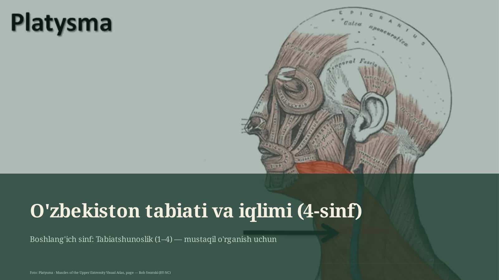 O'zbekiston tabiati va iqlimi (4-sinf)