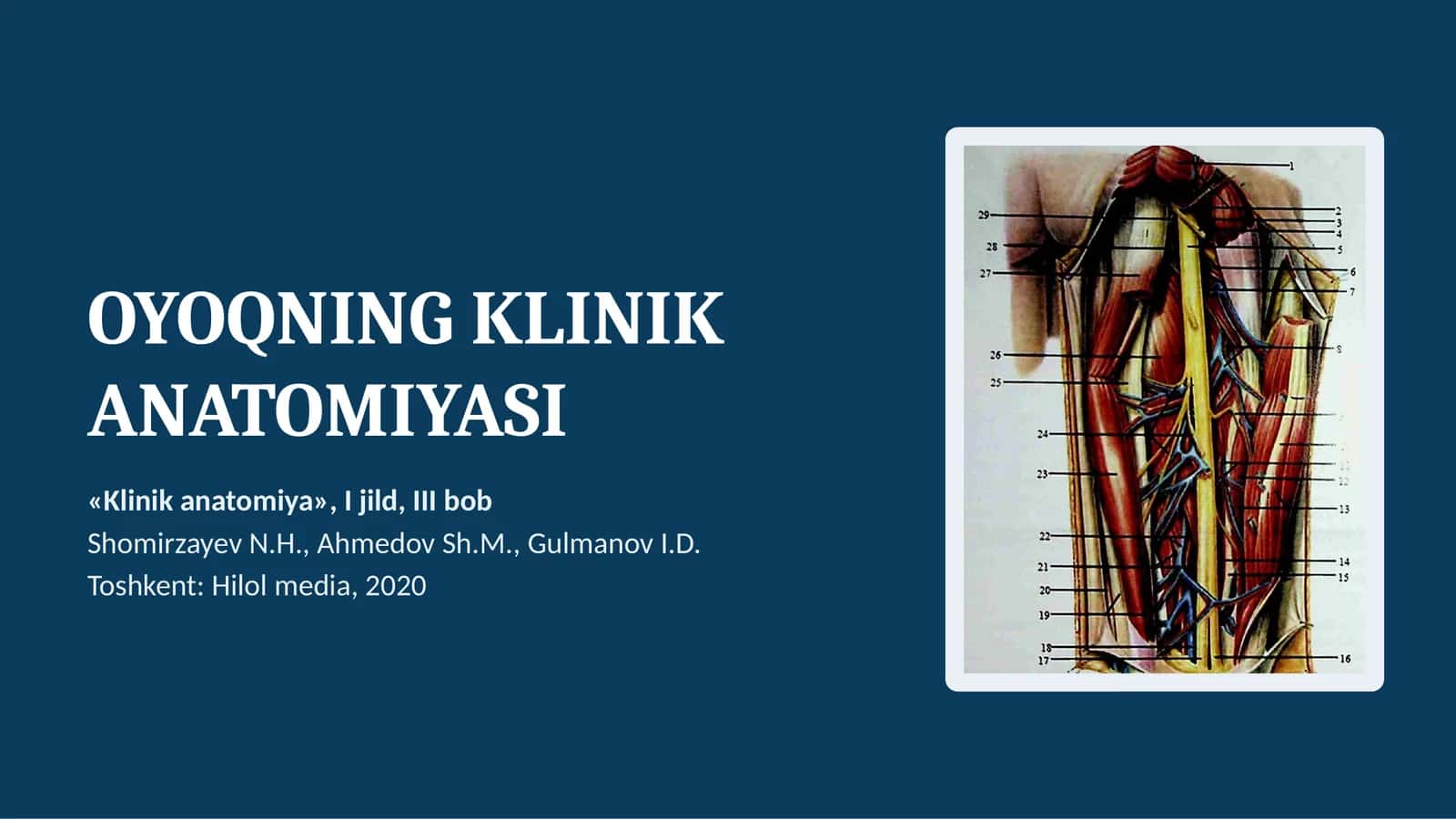 OYOQNING KLINIK ANATOMIYASI