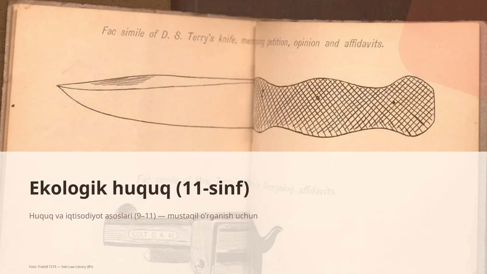 Ekologik huquq (11-sinf)