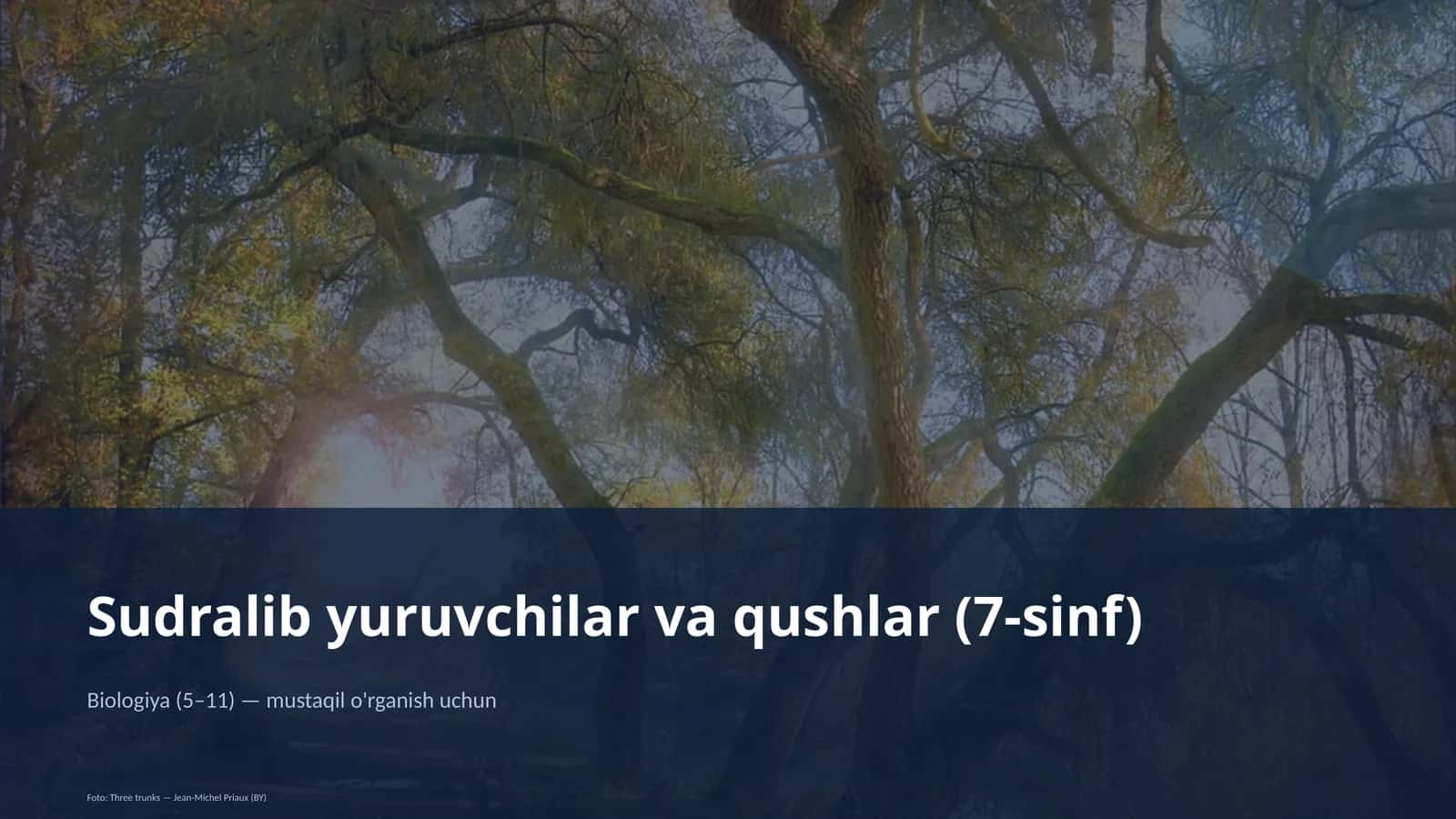 Sudralib yuruvchilar va qushlar (7-sinf)