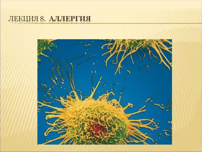 Allergiya