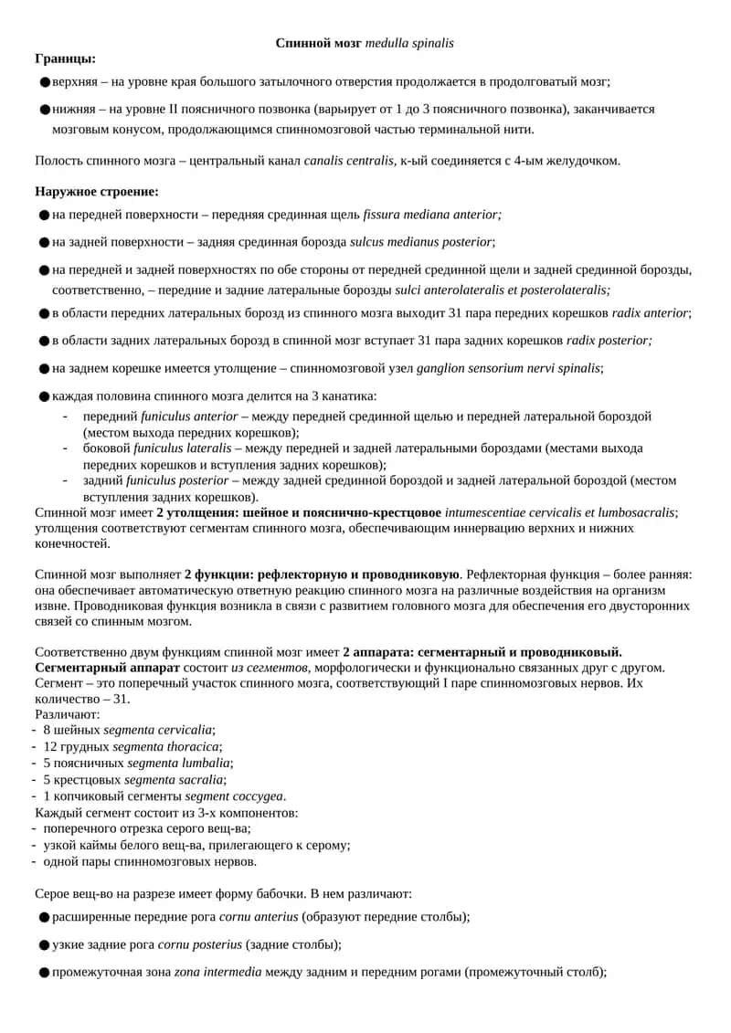 Спинной мозг medulla spinalis