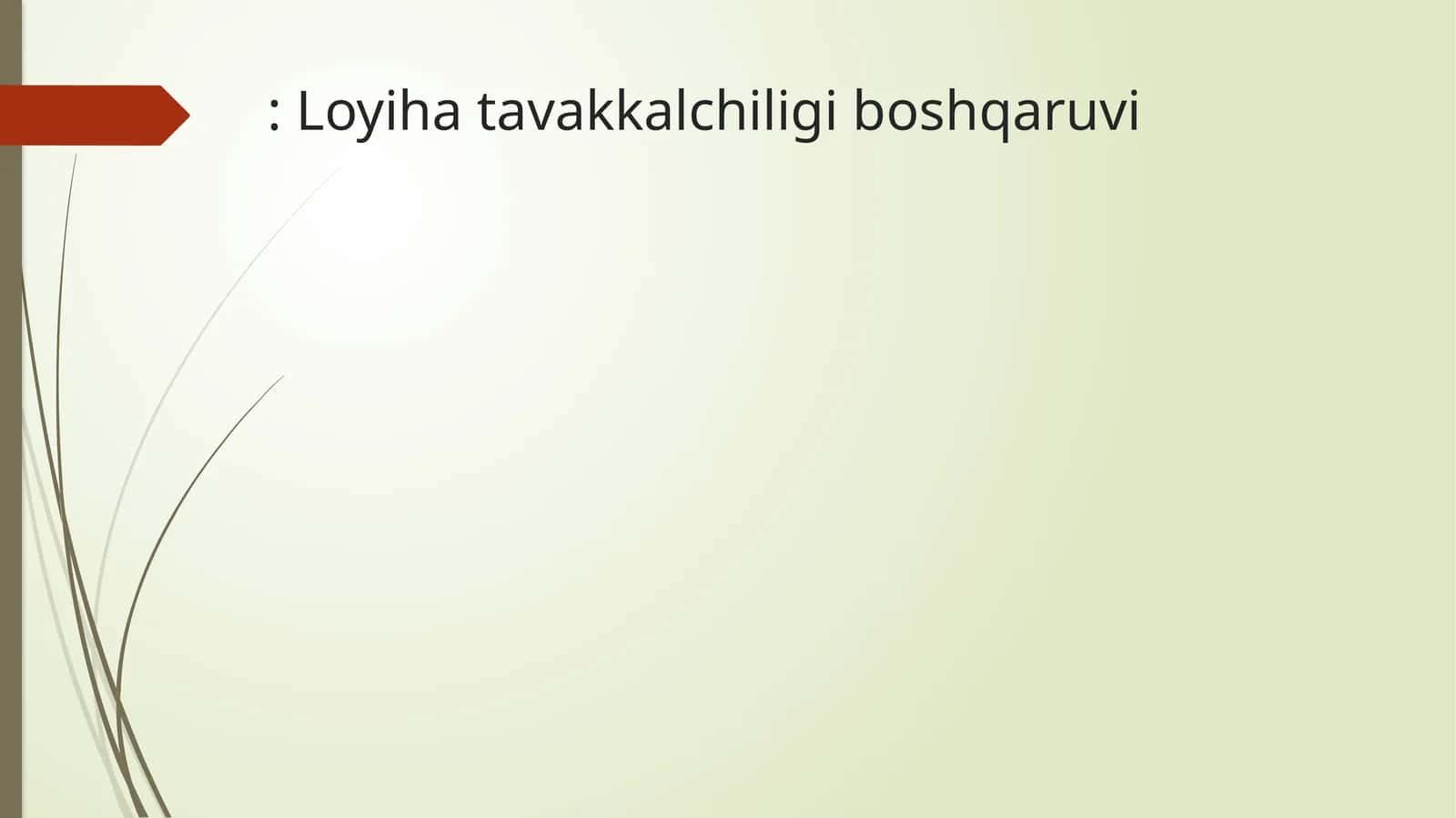 Loyiha tavakkalchiligi boshqaruvi