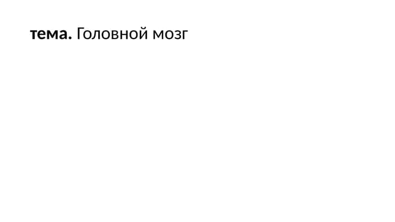 Головной мозг
