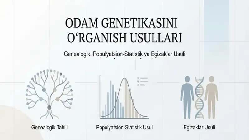 Odam genetikasini oʻrganish usullari genealogik populyatsion statistik va egizaklar usuli