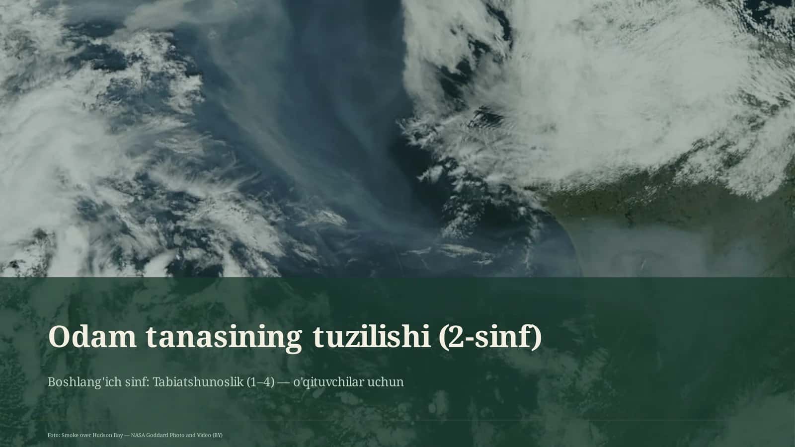 Odam tanasining tuzilishi (2-sinf)