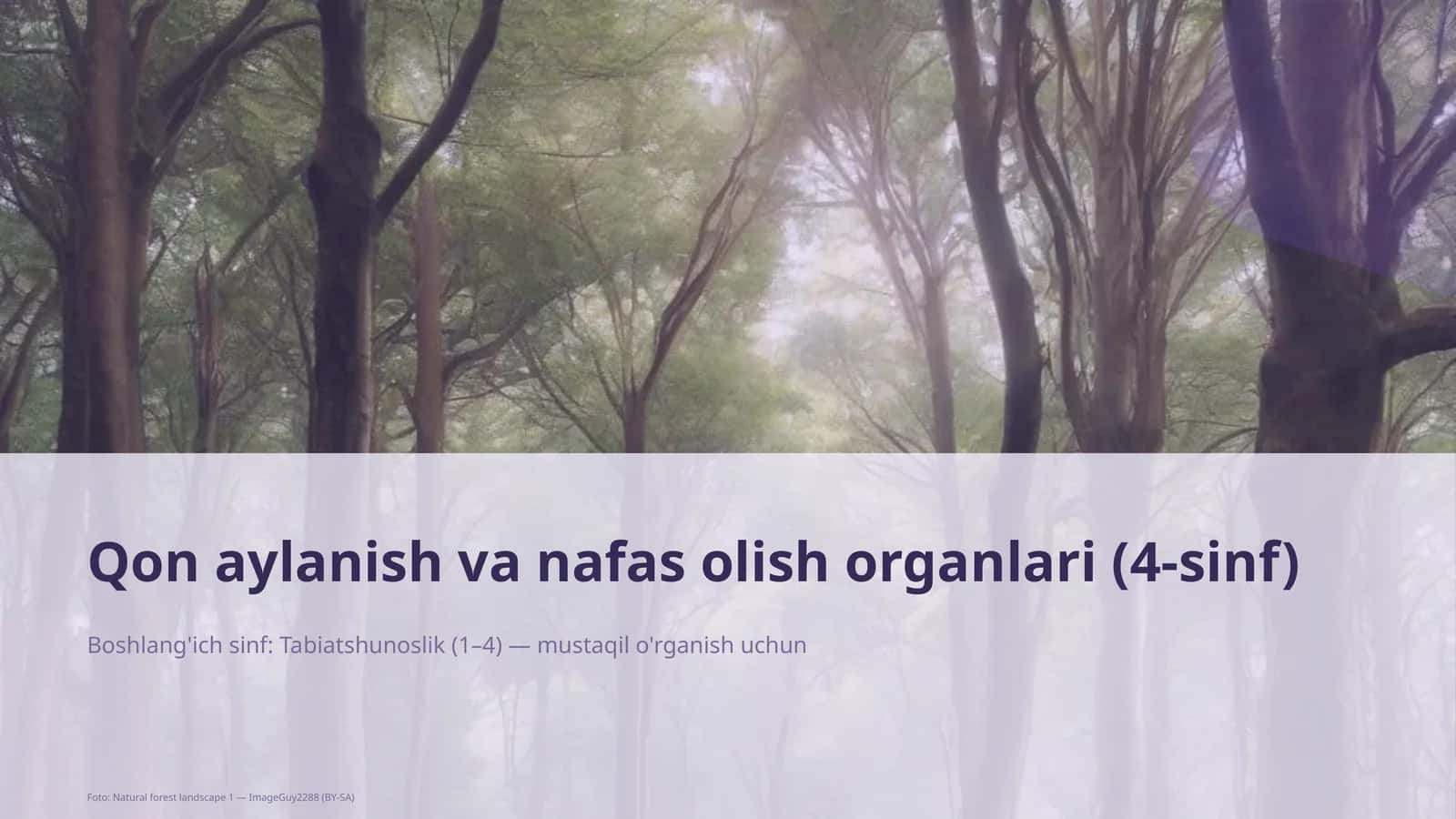 Qon aylanish va nafas olish organlari (4-sinf)