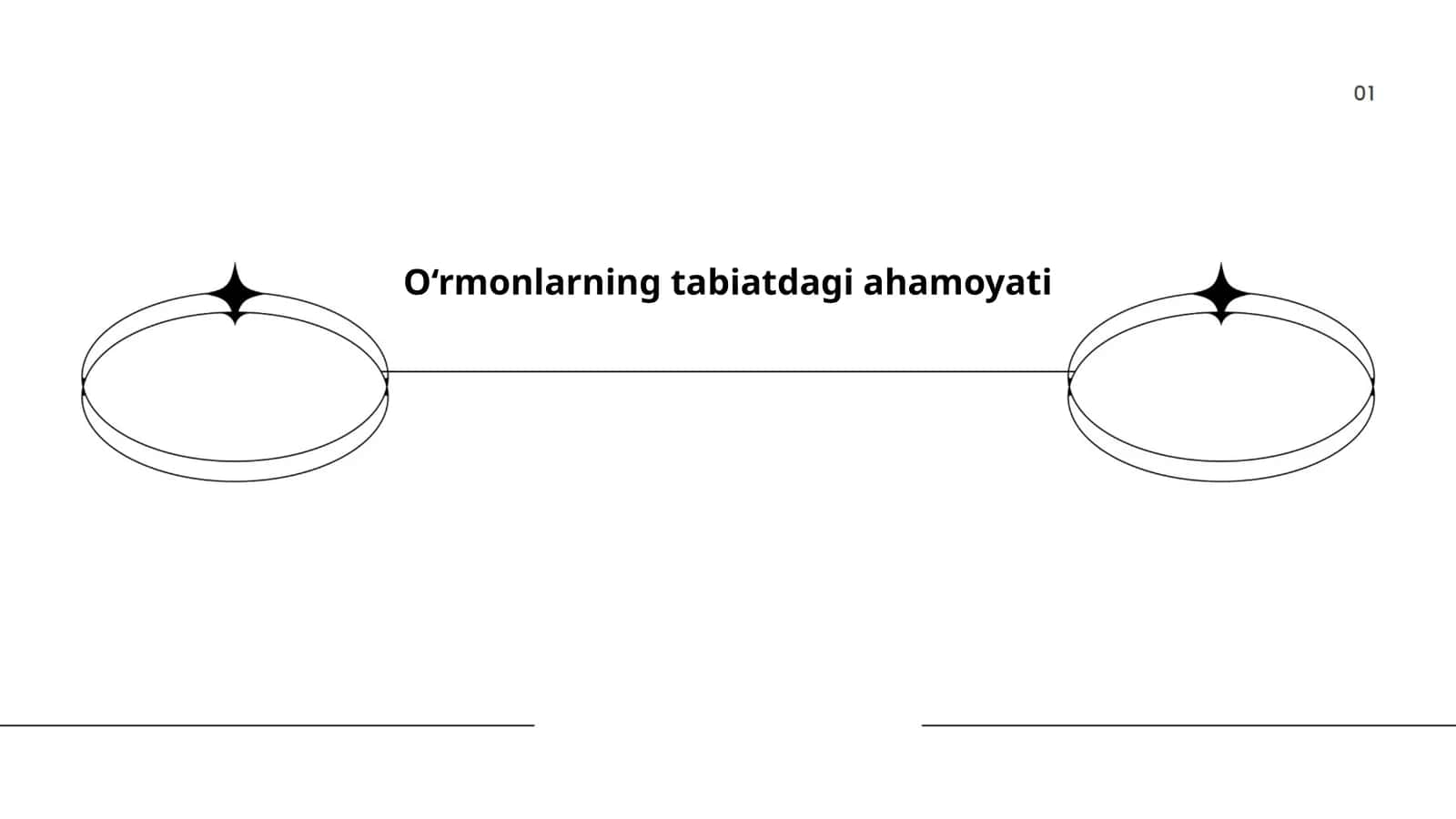 O‘rmonlarning tabiatdagi ahamoyati