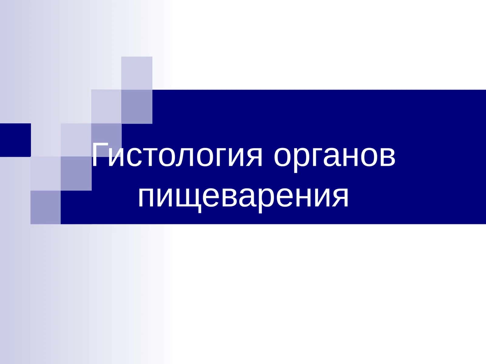 Гистология органов пищеварения