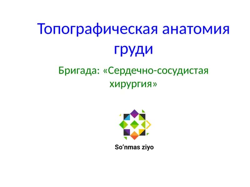 Топографическая анатомия груди