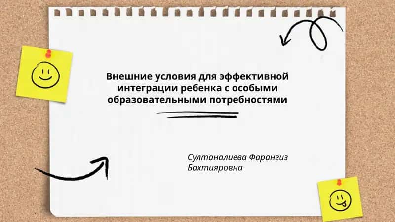 Внешние условия для эффективной интеграции ребенка с особыми образовательными потребностями