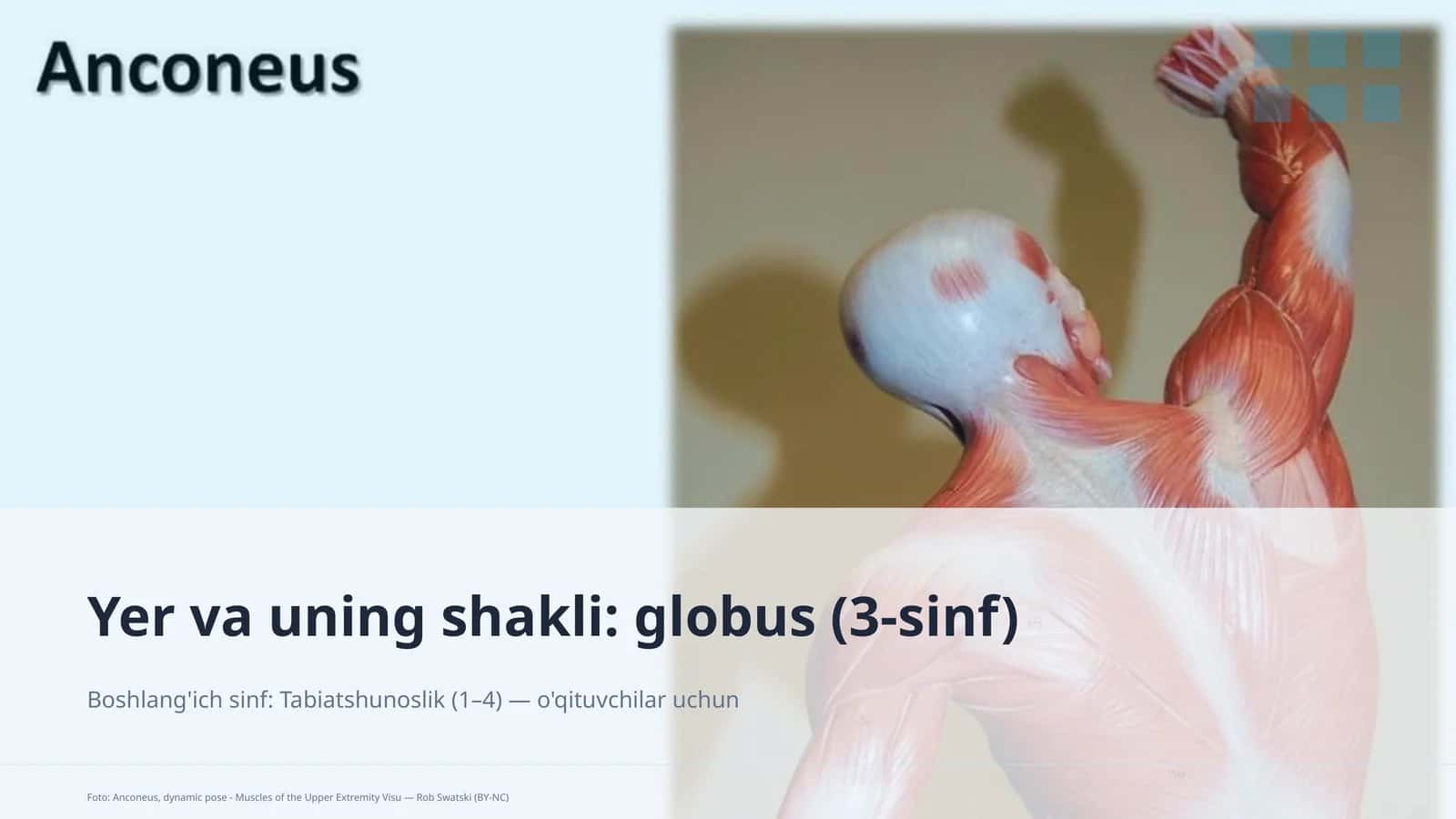 globus (3-sinf)