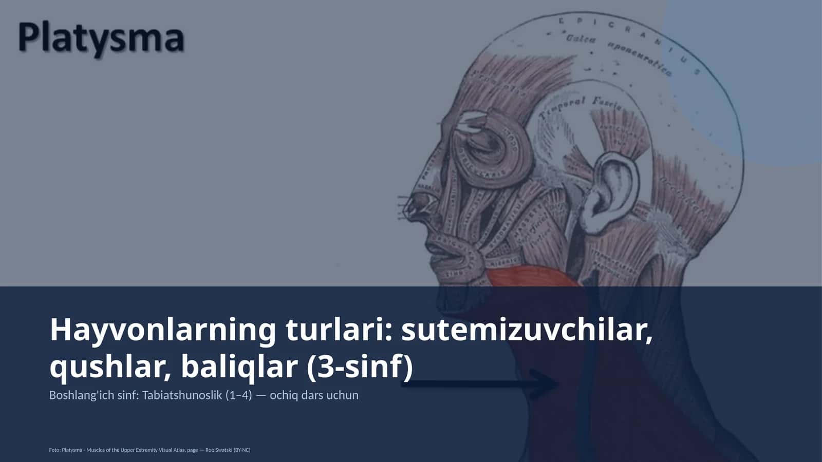 Tabiatshunoslik