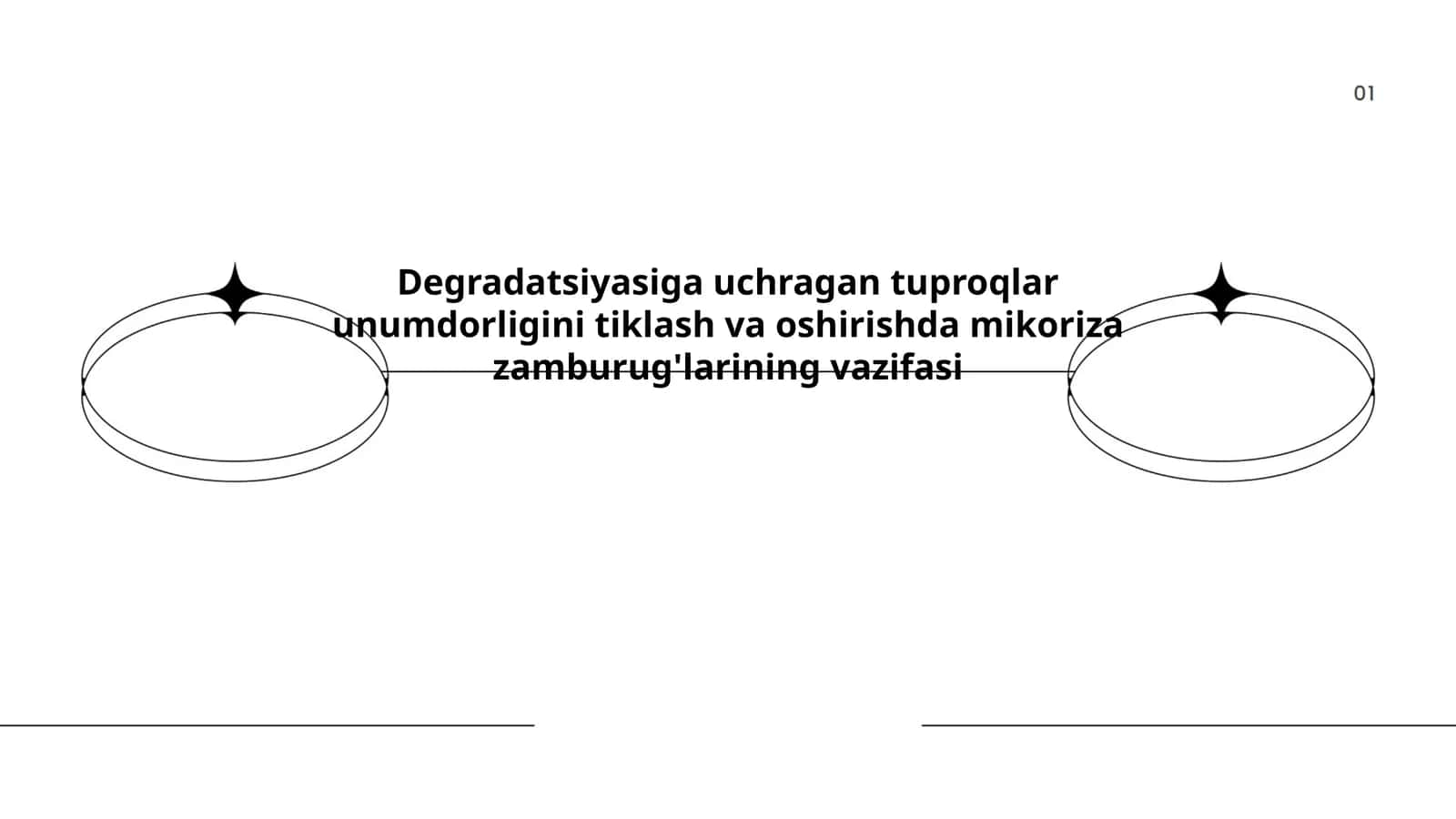 Mikoriza zamburug'larining vazifasi