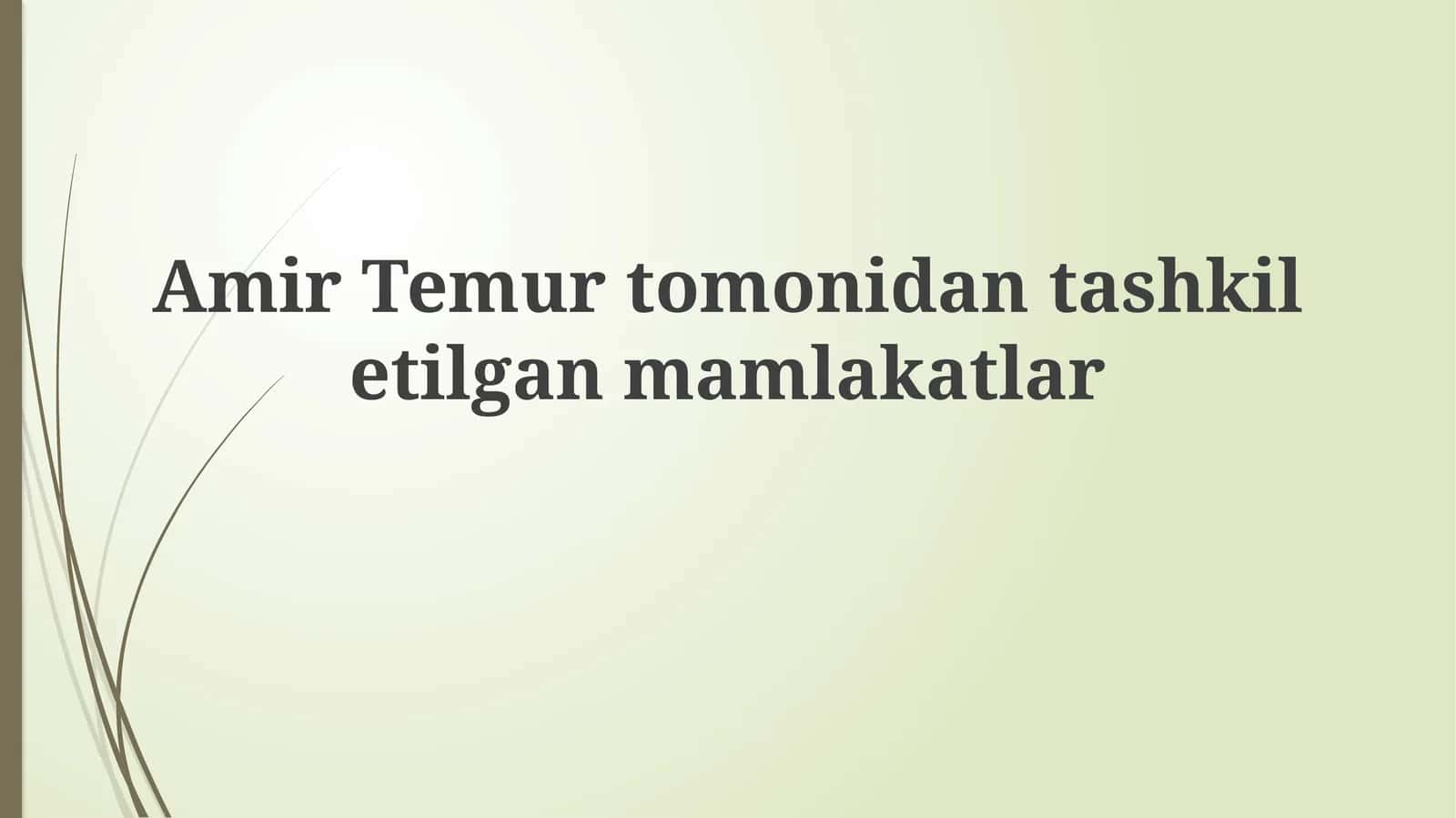 Amir Temur davlati
